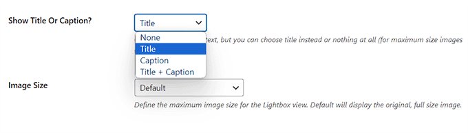 Configure image title and size for the gallery Configure image title and size for the gallery