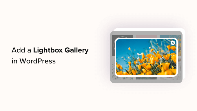 Add a Gallery in WordPress with a Lightbox Effect Add a Gallery in WordPress with a Lightbox Effect