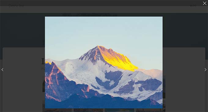 Lightbox preview Lightbox preview