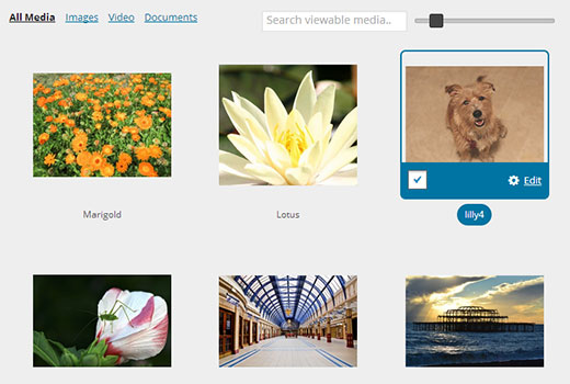 Images in WordPress media library displayed in a grid