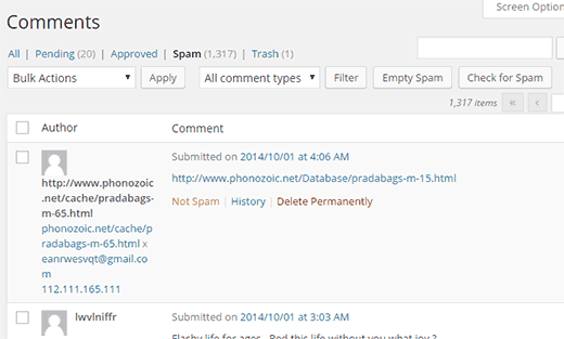 Spam comments in WordPress
