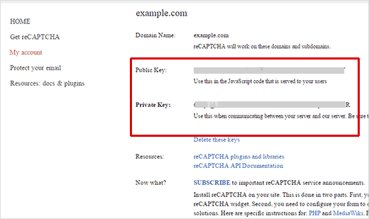 Copy your public and private api keys to use reCAPTCHA on your site
