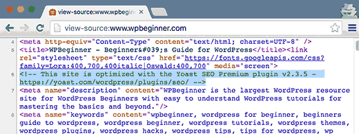 Meta information added by WordPress plugins