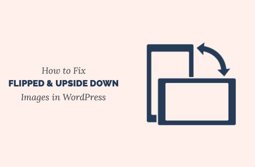 Fix flipped and upside down images in WordPress