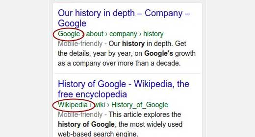 Company name in search results