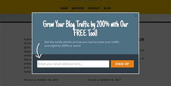 OptinMonster lightbox popup displayed on a WordPress site