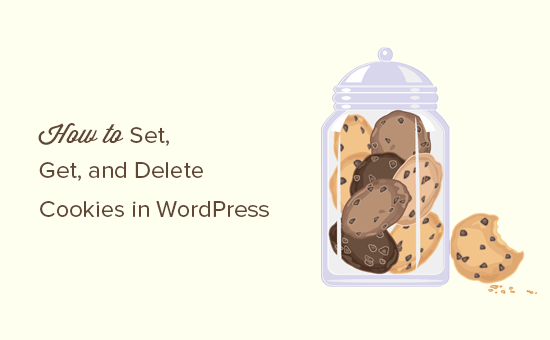 How to set, get, and delete cookies in WordPress