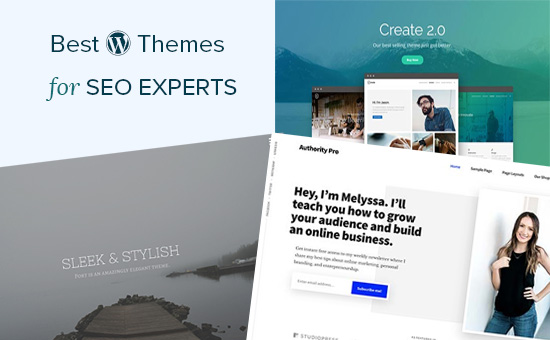 Best WordPress themes for SEO experts