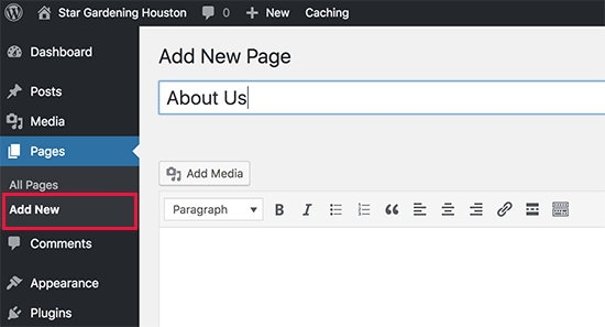 Adding a new page in WordPress