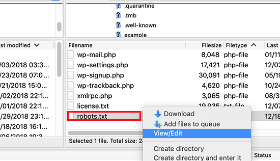 Editing WordPress robots.txt file using FTP