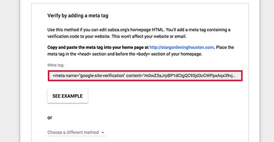 Copy meta tag to verify your ownership of domain name