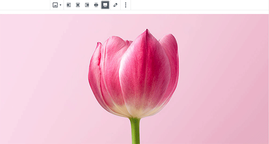 Making an image full-width in WordPress