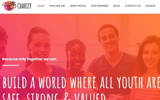 Astra charity theme Astra charity theme