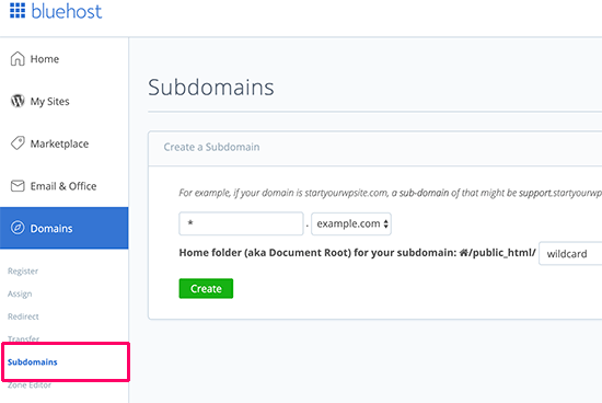 Setting up wild card subdomains
