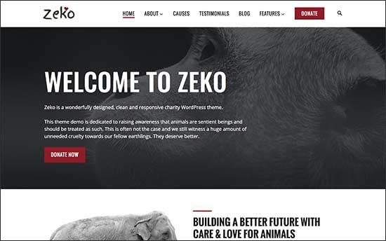 Zeko Zeko