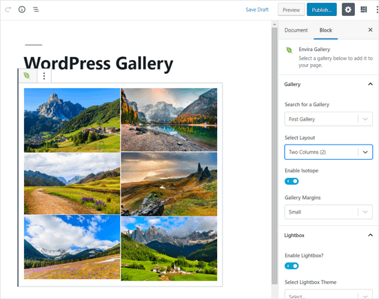Envira Gallery Best WordPress Block for Photo Gallery Envira Gallery Best WordPress Block for Photo Gallery