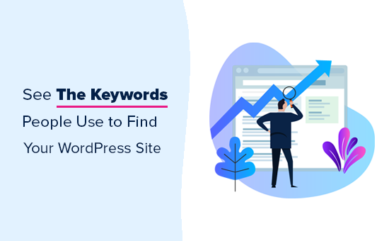View the keywords your website ranks for