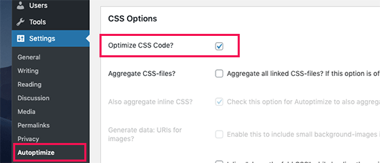 Optimize CSS in Autoptimize