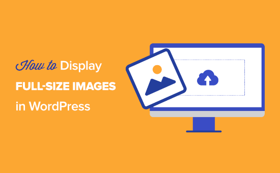 How to display full-size images in WordPress