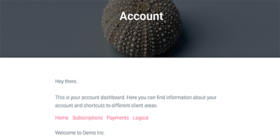 Account page preview