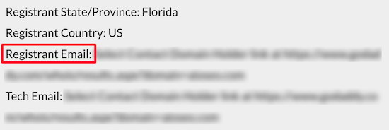Registrant email contact Registrant email contact
