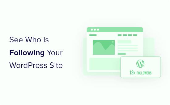How to see who is following your WordPress site (4 quick & easy ways)
