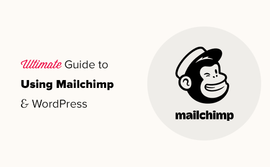 Using Mailchimp with WordPress 