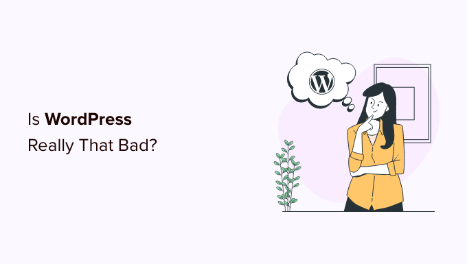 Comparing the cons of using WordPress