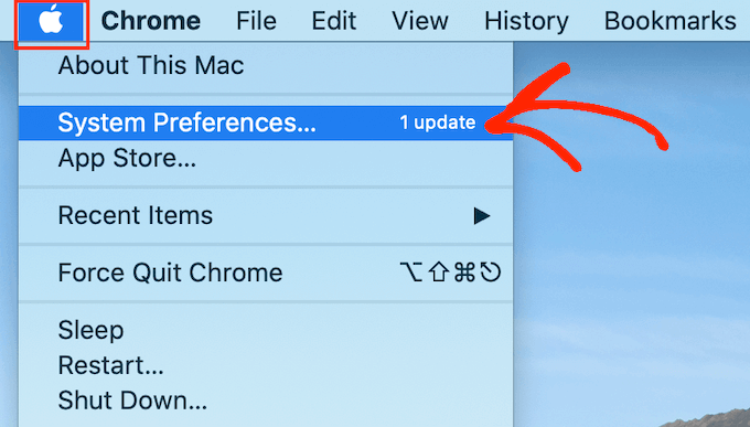The macOS System preferences...