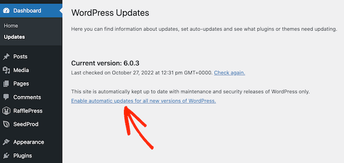 How to enable automatic updates in WordPress