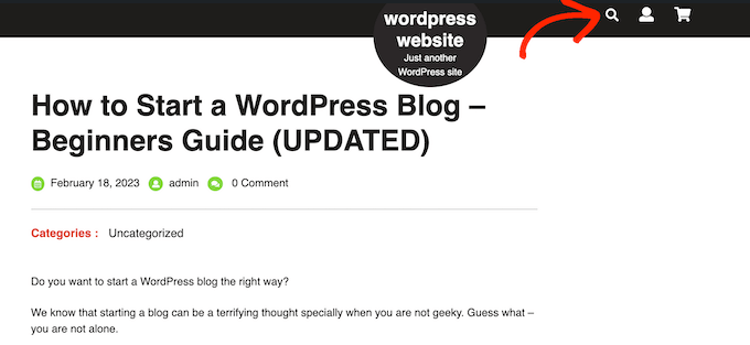 The built-in WordPress search bar