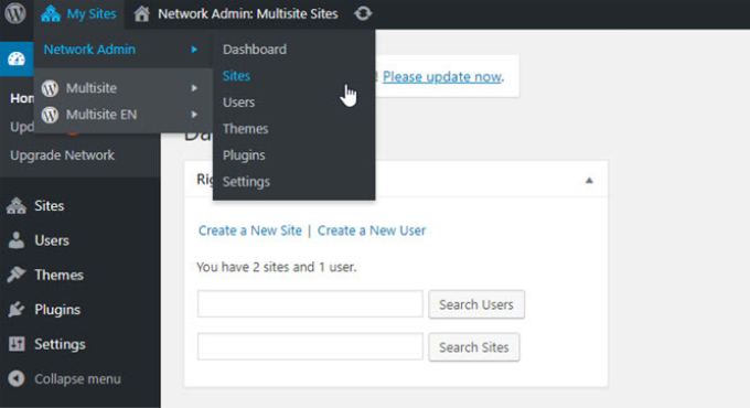 Multisite network settings